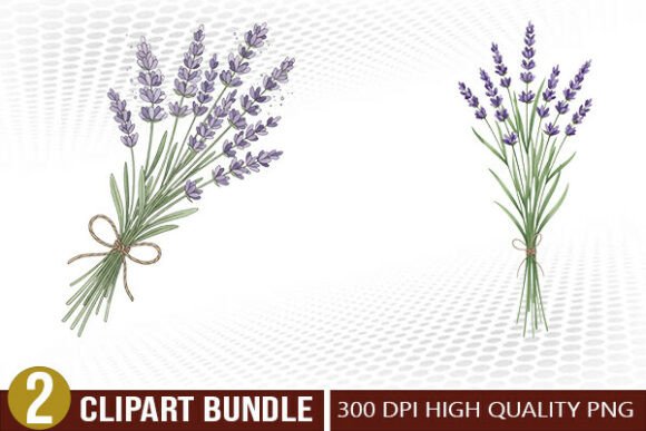 Lavender Botanical PNG Clipart Bundle for Creative Projects